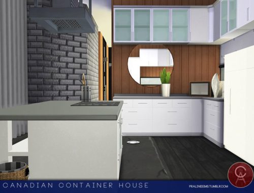 Canadian Container House