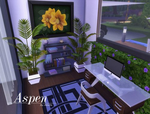 Aspen