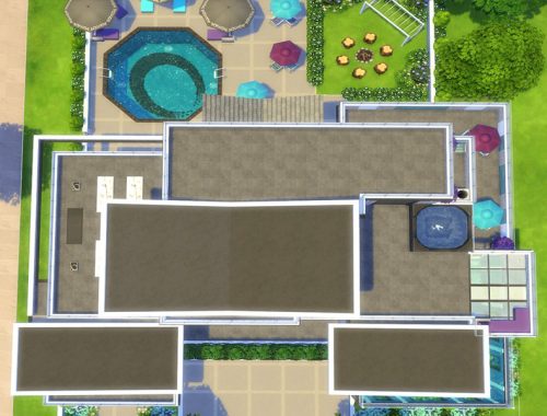 Bachelor Button Modern House