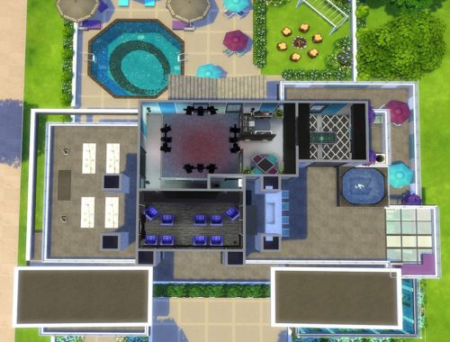 Bachelor Button Modern House