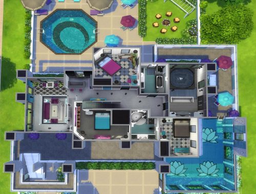 Bachelor Button Modern House