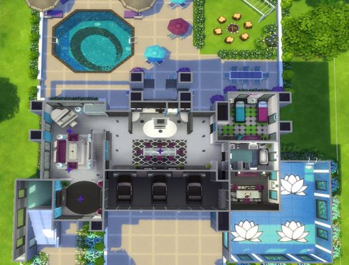 Bachelor Button Modern House