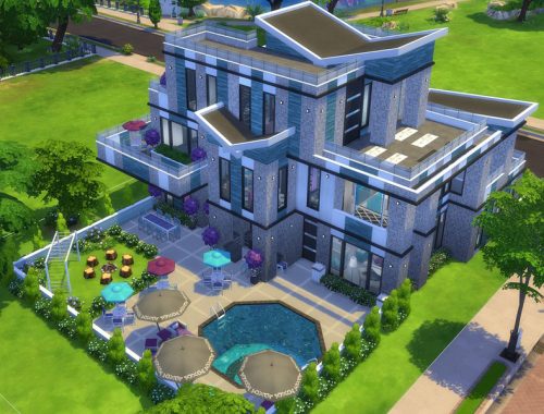 Bachelor Button Modern House