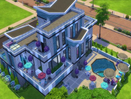 Bachelor Button Modern House