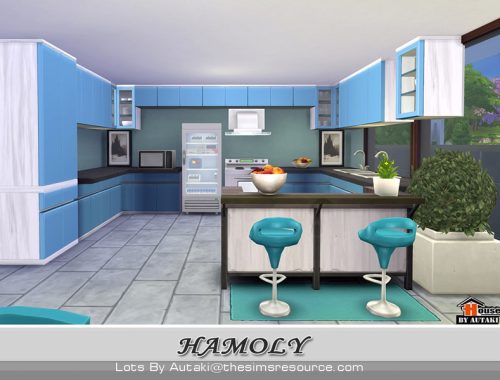 The Hamoly
