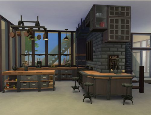 Industrial Loft