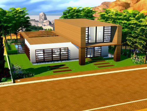 Modern Wood House