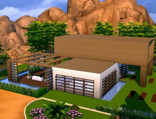 Modern Wood House