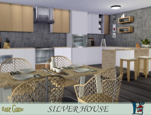 Silver House