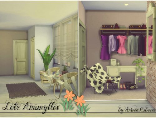 Lote Amaryllis