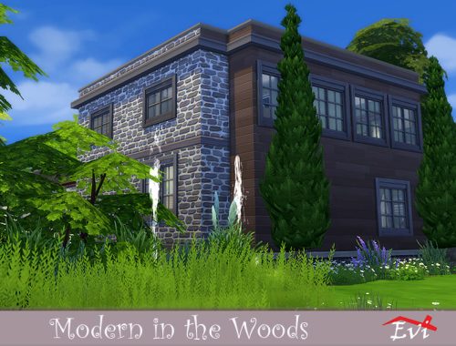 Modern in the Woods