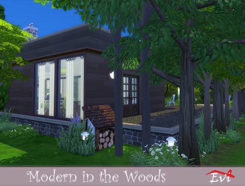 Modern in the Woods
