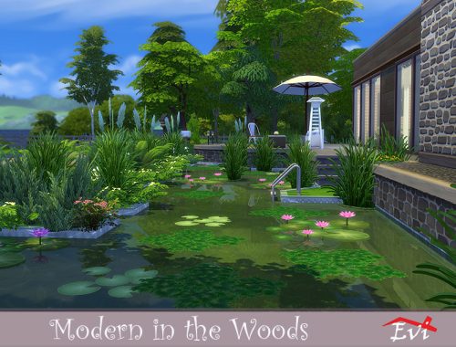 Modern in the Woods