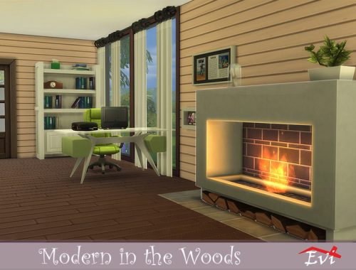 Modern in the Woods