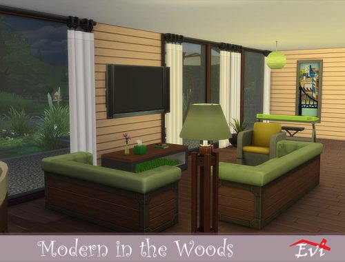 Modern in the Woods