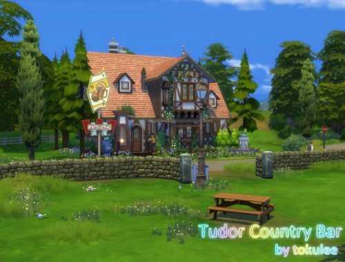 Tudor Country Bar