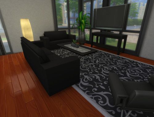 Contemporary Home 1 *NO CC*