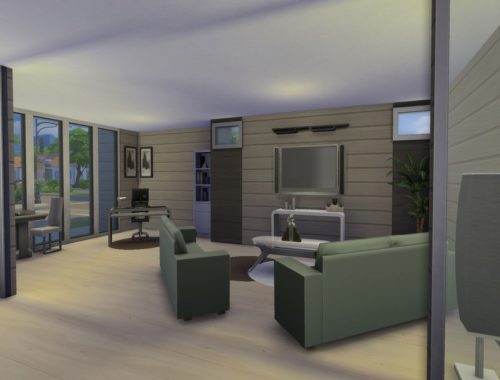 Vista