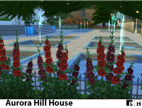 Aurora Hill House