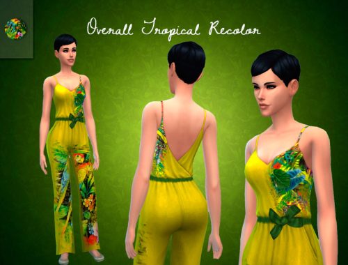 Jumpsuit Tropical Recolor