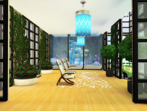 ZEN - No CC!