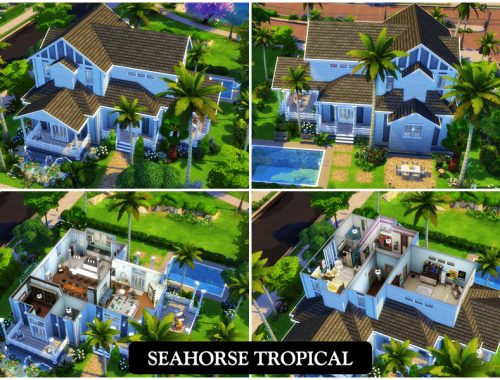 Seahorse Tropical
