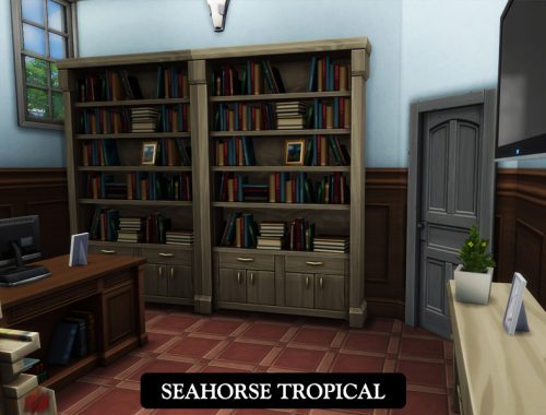 Seahorse Tropical