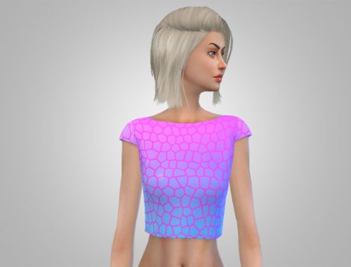 Ombre Geometric - Crop Top
