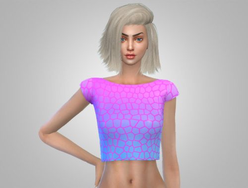 Ombre Geometric - Crop Top