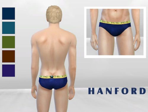 Ice Navy Underwear