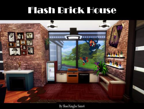 Flash Brick House