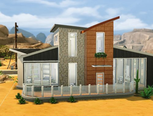 Desert Oasis