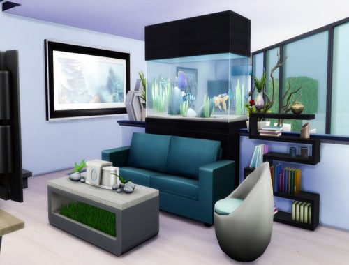Modern House