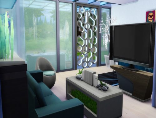 Modern House