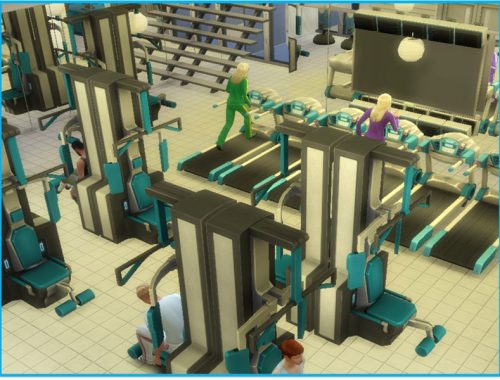 Acqua Gym