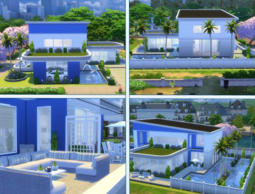 Blue Paradise