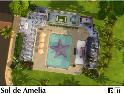 Sol De Amelia