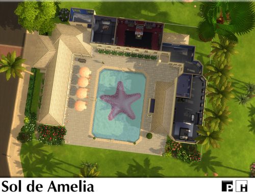 Sol De Amelia