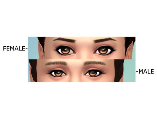 Universal Eyelashes by Faye