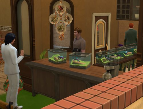 Bazaar