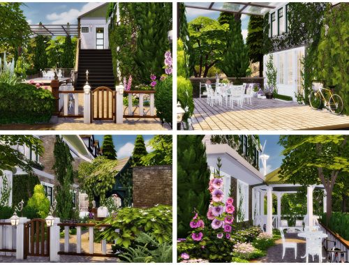 Provence Villa