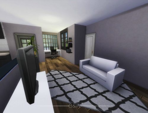 B&W Starter Home