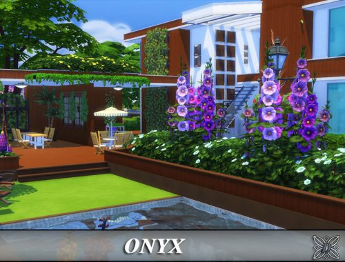 Onyx