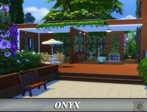 Onyx