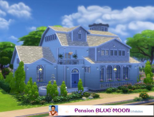 Pension blue moon
