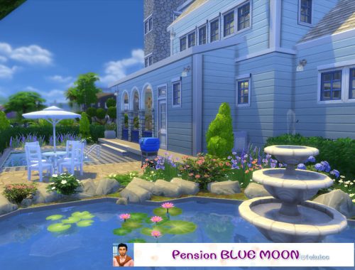 Pension blue moon