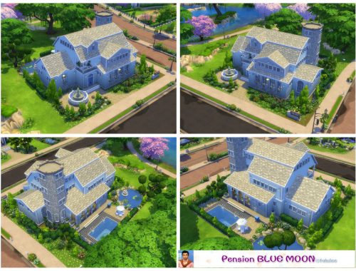 Pension blue moon