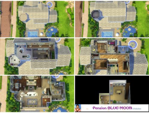 Pension blue moon
