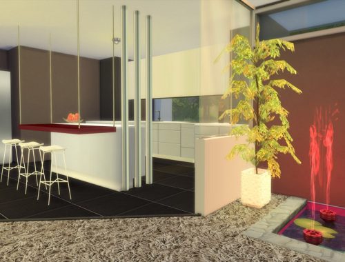 Modern Aracaia
