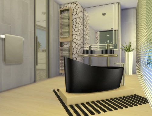 Modern Aracaia